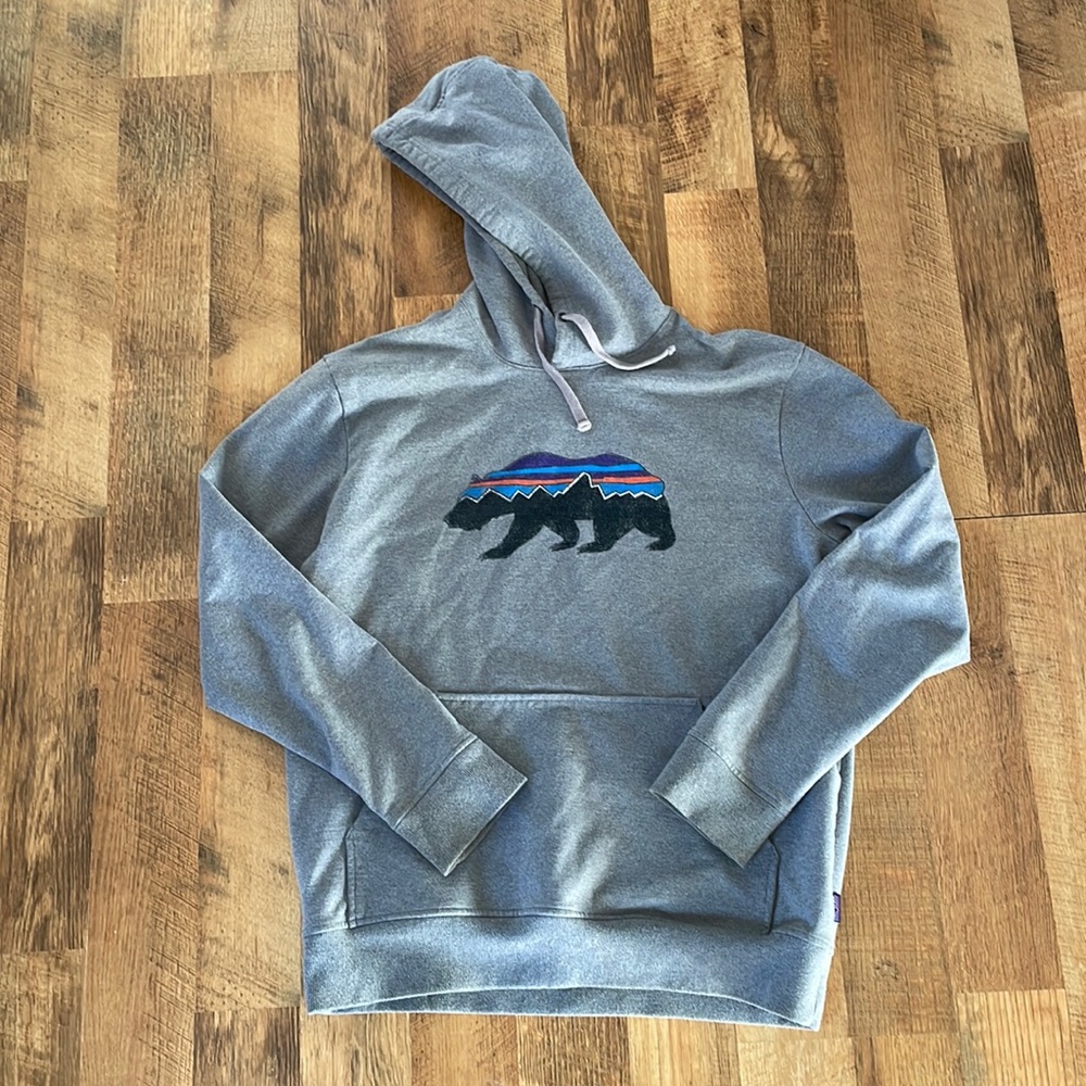 Patagonia Fitz Roy Hoodie - Size Medium, Color Grey
